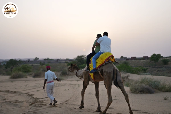 Camel Safari